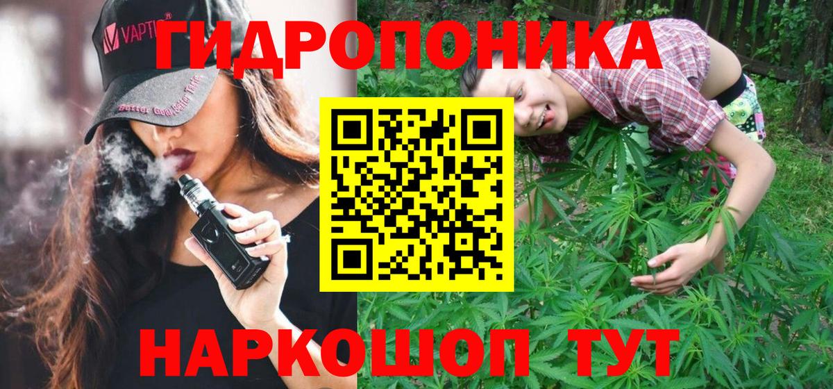 Шадринск  Каннабис план  Бошки марихуана ГИДРОПОН  Марихуана THC 21%  Вход с VPN 